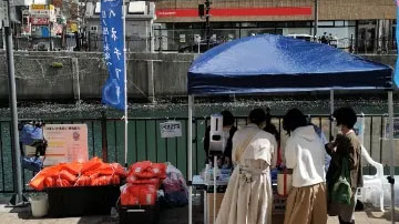 日の出桟橋のクルーズ受付