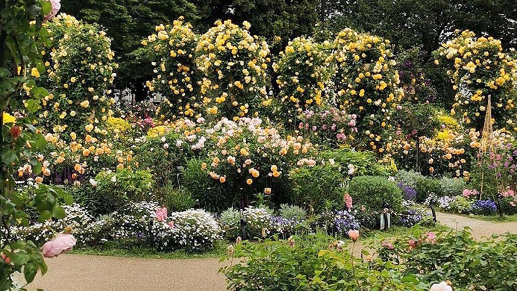港の見える丘公園のイングリッシュガーデン
