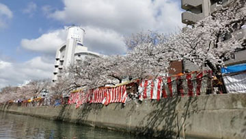 大岡川沿いには屋台も出ています