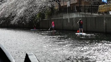 大岡川でSUP