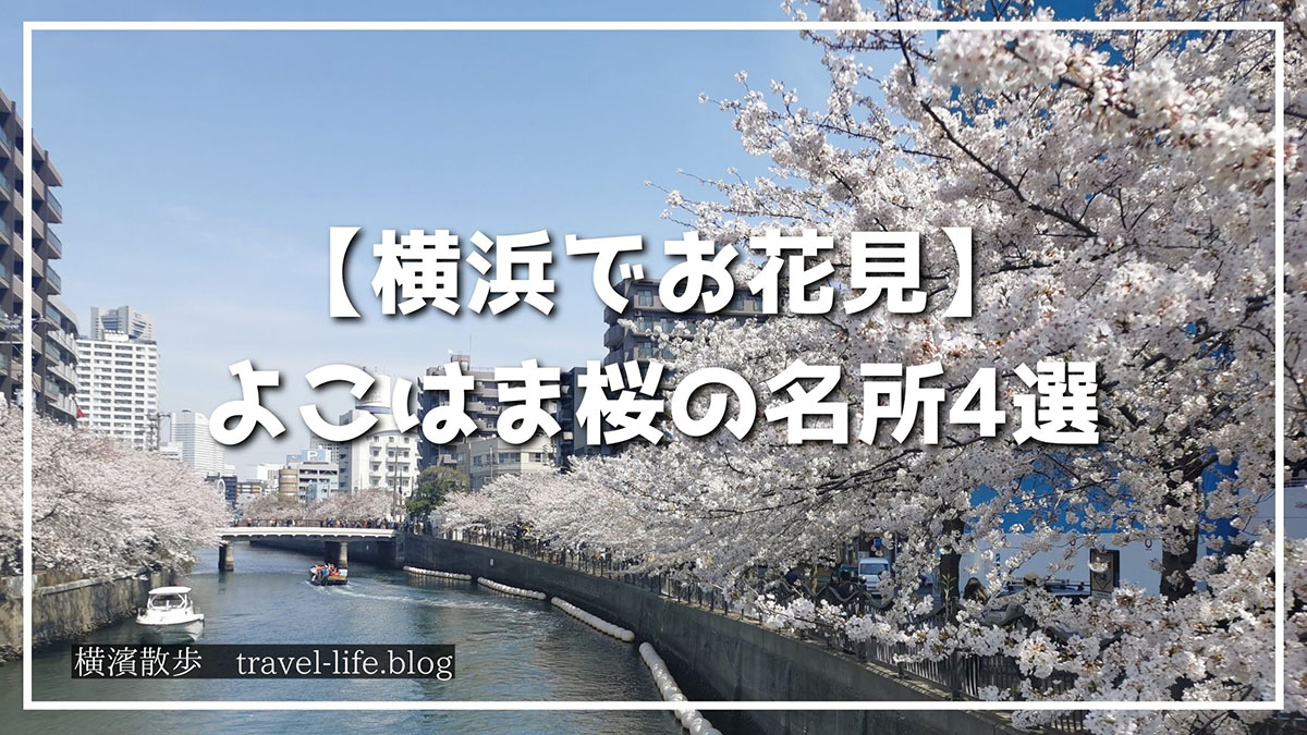 横浜でお花見〜横浜市内中心部4つの桜の名所をご案内