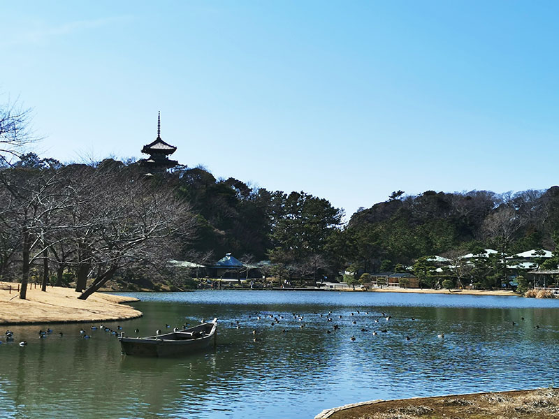 横浜の隠れた名所三渓園