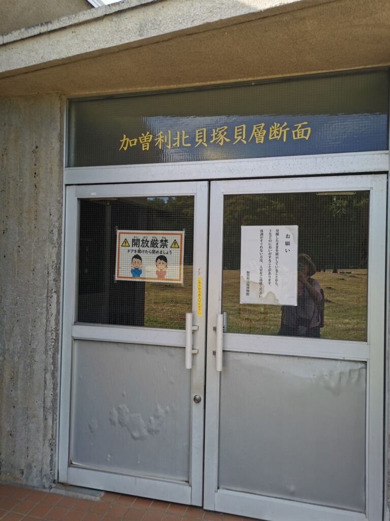 加曽利貝塚の保存状態