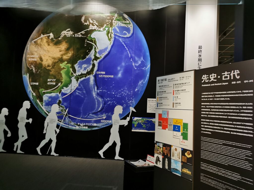 縄文時代の展示