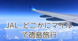 JALどこかにマイルで徳島旅行｜7,000マイル体験記